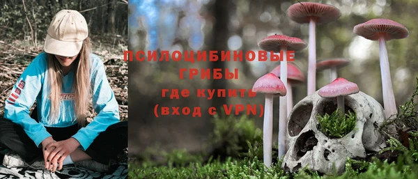 спиды Вязники