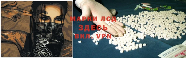 прущие грибы Аксай