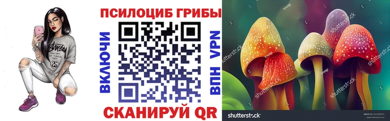 Галлюциногенные грибы мицелий где продают darknet формула Глазов